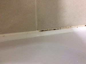 How to Fix Your Bathroom Basin or Kitchen Sealem ALL